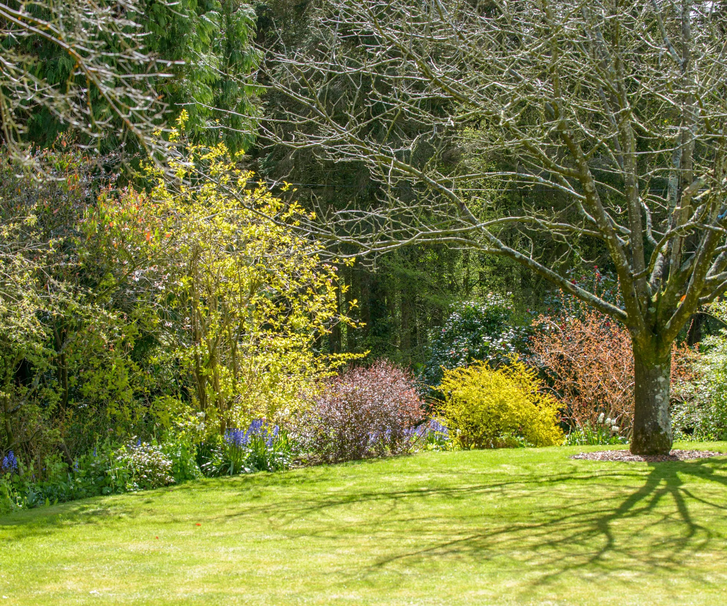 Udsigt over haven græsplæne og urteagtig grænse.' loading='lazy' title=