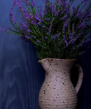 ラベンダーを室内で育てることはできますか？そうすることで睡眠と健康がどのように向上するのか