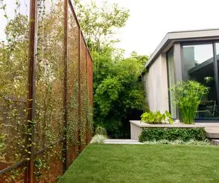 상영관이 있는 뒷마당