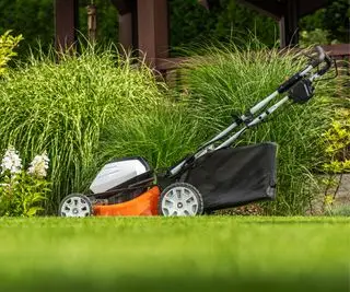 En trådløs gressklipper i en hage