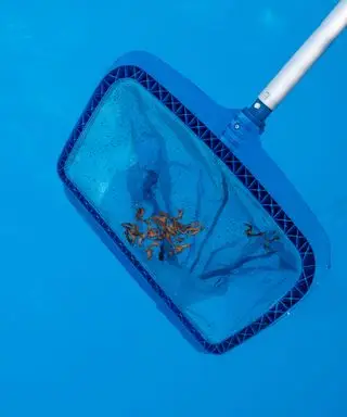 desnatar una piscina con una red para eliminar los escombros