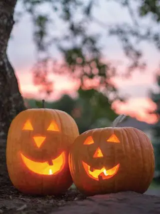Citrouille, Jack O Lantern