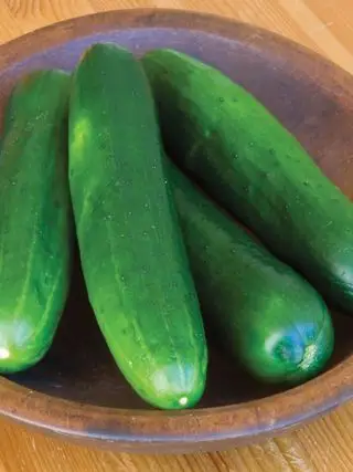 Concombre, beauté sans rot