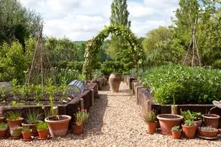 idées de potager jardins potagers leigh clapp