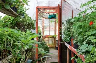 idées de potager, serre de presbytère