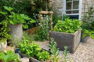 idées de potager Jardin à Bath avec des contenants mixtes pour légumes