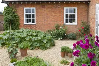 idées de potager – terrasse