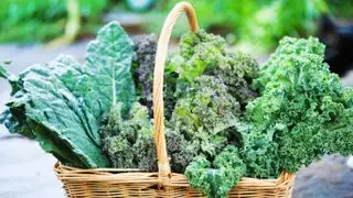 variétés de chou frisé dans un panier en osier