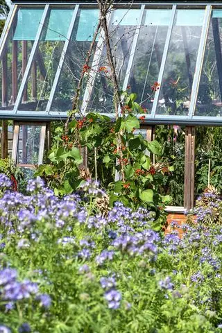 idées de potager GettyImages-1287385765