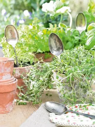 étiquette de cuillère vintage pour jardin d'herbes aromatiques