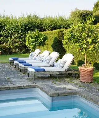 patio de piscine avec citronnier en pot dans le jardin de Paolo Moschino et Philip Vergeylen