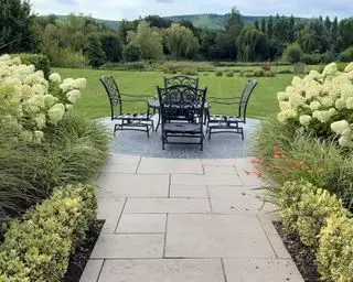 Langblühende Hortensie, die in einem formellen Garten verwendet wird