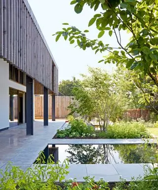 테라스에서 이끼를 제거하는 방법 – 전문가가 공개하는 빠르고 쉬운 방법