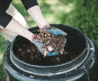 Compost fait maison dans un composteur