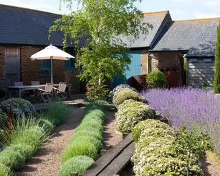 צמחים ים תיכוניים לרעיון גן בר קיימא