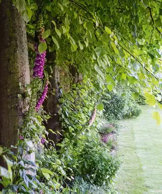 רעיונות לגינה ידידותית לסביבה