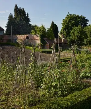 רעיונות לגינה ידידותית לסביבה