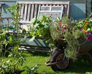 חומרי upcycle המשמשים לספסל גינה ואדניות