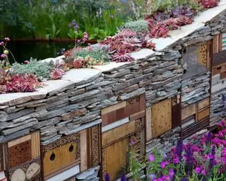 מלון באג כרעיון גן בר קיימא