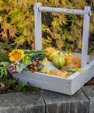 Idées faciles de citrouilles sans sculpture avec des citrouilles et des courges miniatures dans un panier avec des fleurs de saison