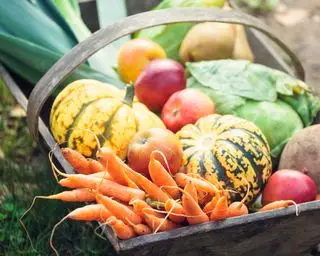 citrouilles récoltées dans un camion avec d'autres légumes