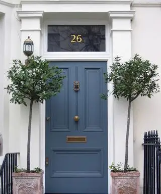 As melhores árvores para cultivar em vasos – 16 espécies para qualquer espaço ao ar livre