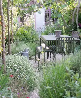 kleiner, dicht bepflanzter Garten mit Feigenbaumdach