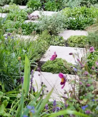 asfaltering og beplantning