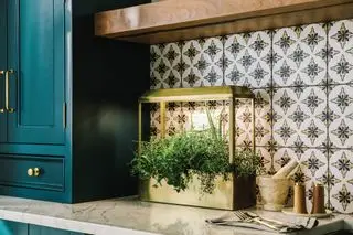 Moderner Sprossen-Kräutergarten für den Innenbereich