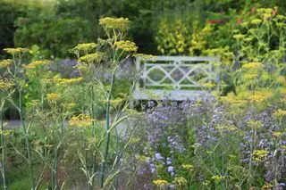 Gartenbank umgeben von Beeten mit duftenden Kräutern wie Rosmarin und Fenchel