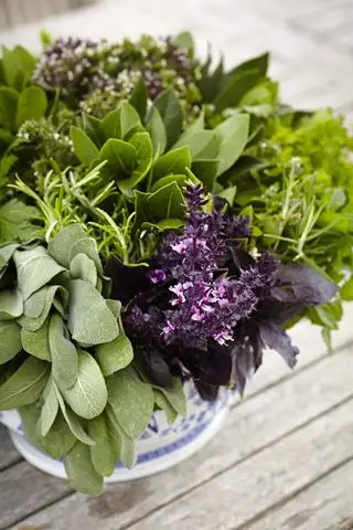 Herzstück des Tisch-Kräuterpflanzgefäßes mit einer Kräutermischung