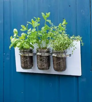 Marmeladenglas Kräutergarten