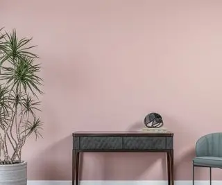 Dragetre i grå potte mot en rosa vegg