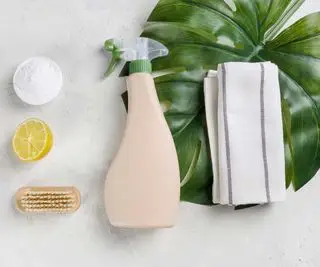 produtos de limpeza naturais e folha de monstera