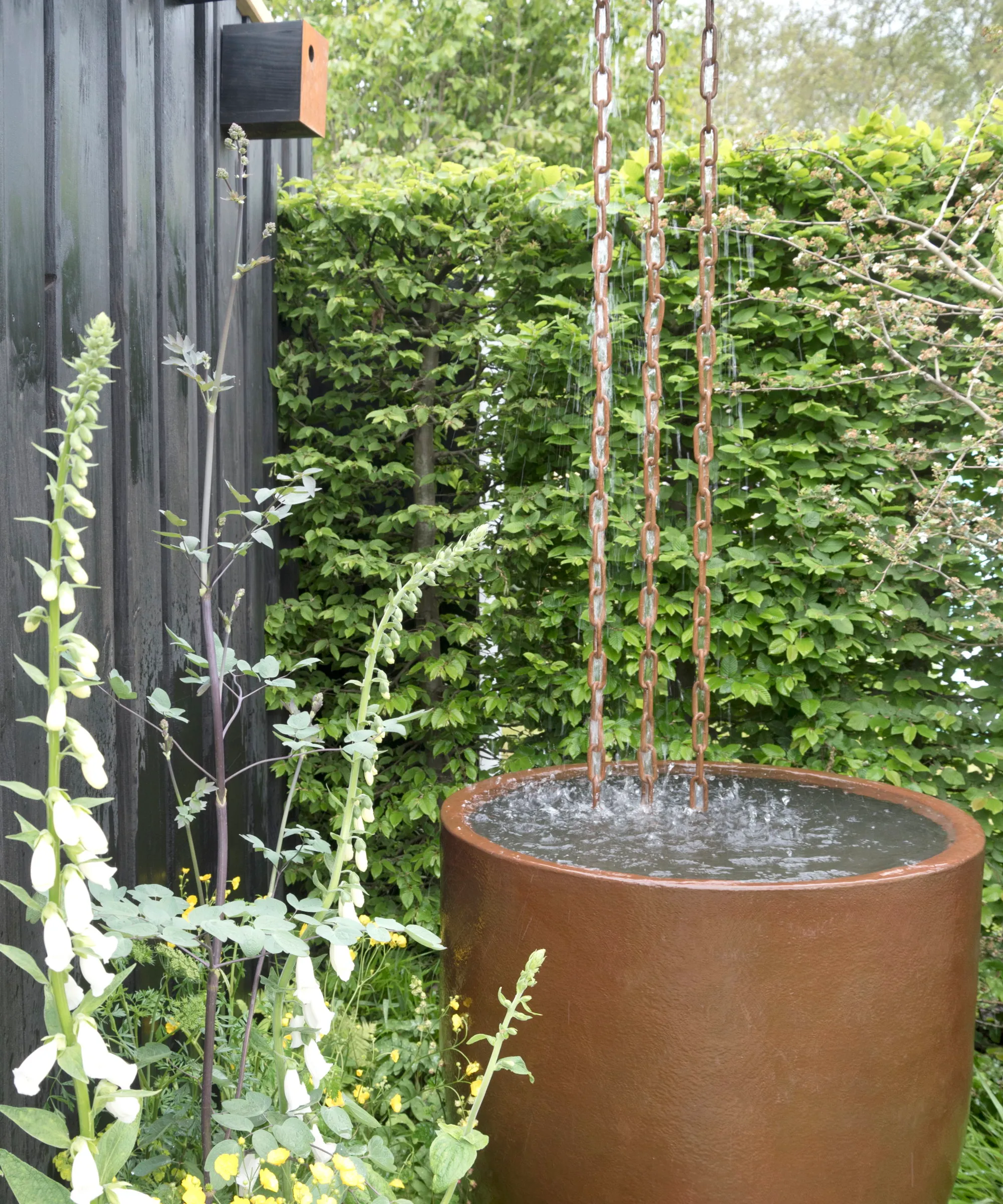 Una grande caratteristica dell'acqua e una catena della pioggia davanti ad un'alta siepe verde' loading='lazy' title=