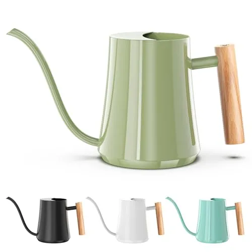 Regador para plantas de interior 35 onças lata de água verde sálvia para interior de metal pequeno pote de água com bico longo para casa plantas de bonsai flores de jardim decorativas' loading='lazy' title=