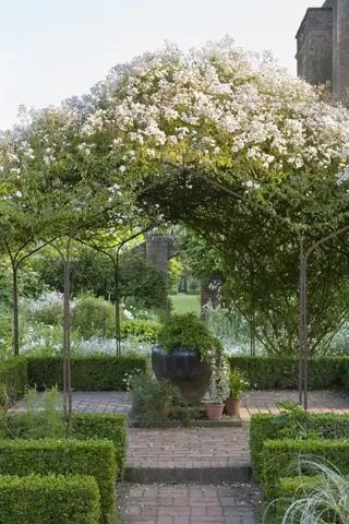 Rosengarten-Ideen – Rosengarten, der über einer Pergola in Sissinghurst wächst