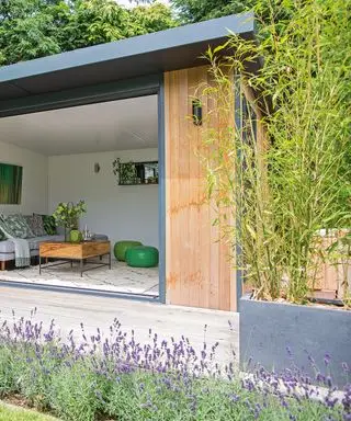 Bambus wird in einem Behälter auf einer Terrasse gepflanzt, davor wächst Lavendel in einem Blumenbeet