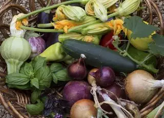 un panier de légumes récoltés