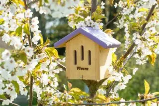 maison des papillons en fleur d'arbre
