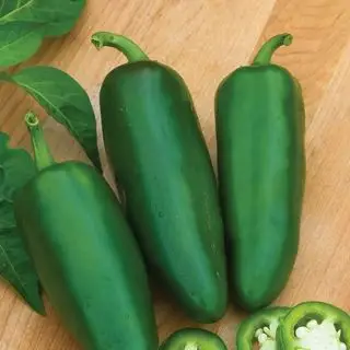 Gorąca hybryda Jalapeno Big Guy