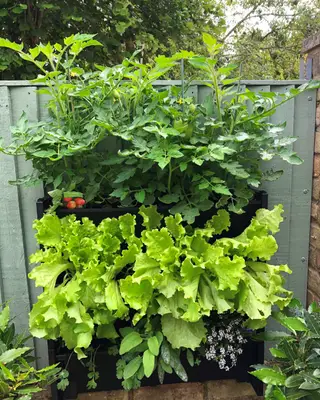 Balkon mit Topfpflanzen