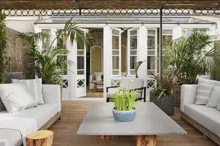 idées de plantation de terrasse