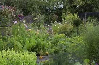 תכנון גינת מטבח עם פרחים יפים