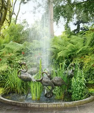 Jardin tropical avec plan d'eau et fougères