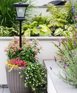 Idées de jardin sur balcon