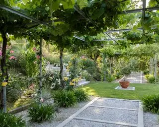 Idées de jardins tropicaux sur une allée de jardin avec des grimpeurs