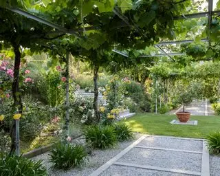 Idées de jardin d'hiver – pergola