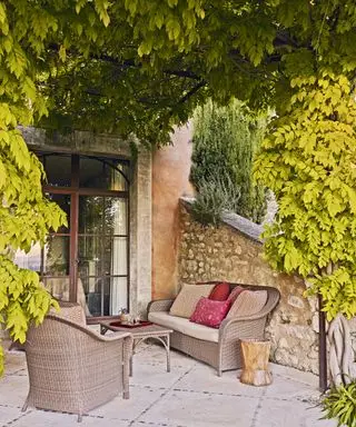 Patio avec fauteuil et canapé et pergola au dessus avec vigne