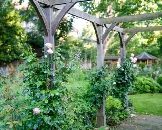 pergola avec des roses grimpant sur les supports par Jo Thompson Garden Design